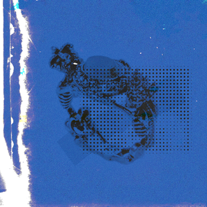 钱香香的一级黄色片
