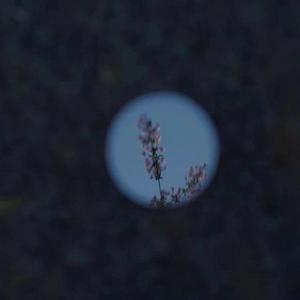 钱香香的一级黄色片
