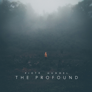 钱香香的一级黄色片
